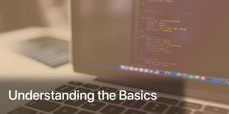 Understanding the Basics of a Professional Web Development Company Understanding the Basics of a Professional Web Development Company