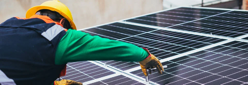 greenbot-application