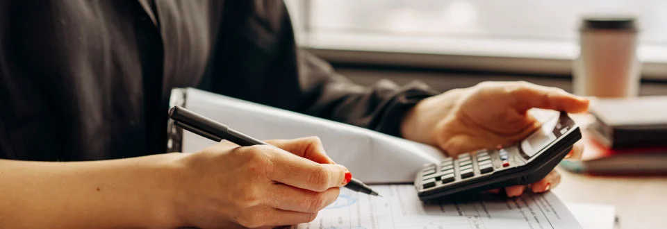 portal-for-accountants