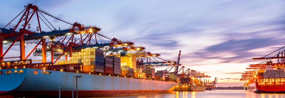 website-for-logistics